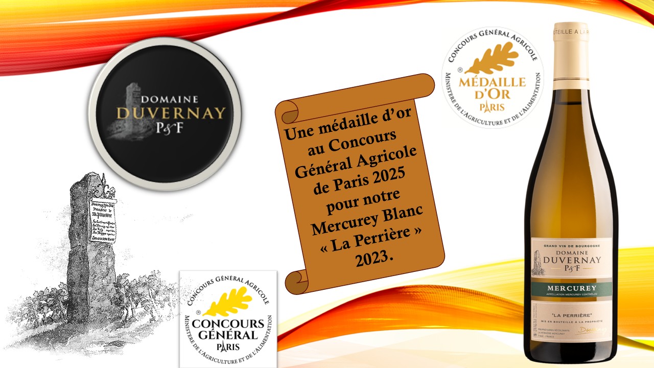 Médaille d'or au Concours Général Agricole de Paris 2025 pour le Mercurey Blanc "La Perrière" 2023 du Domaine Duvernay P et F